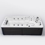 Platinum Spas Titan swim spa in dark cabinet finish shown empty from a front quarter angle